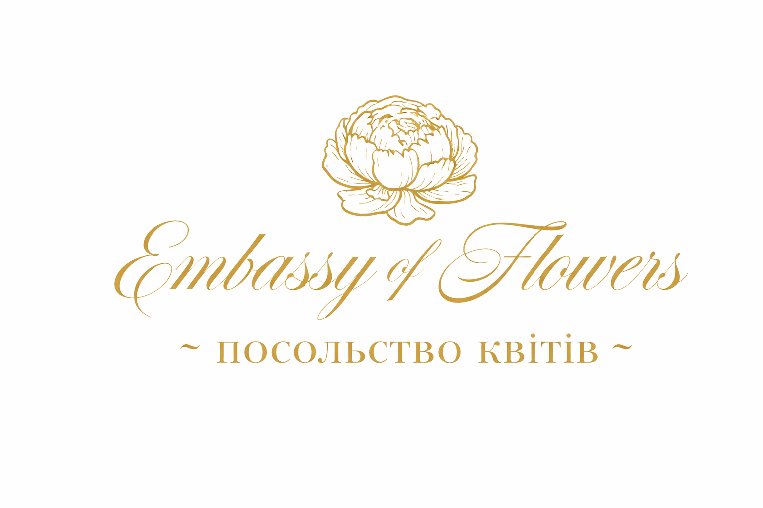 ChatGPT Image Feb 10, 2026, 03_27_23 PM.png